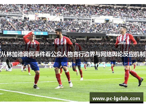 从林加德调侃事件看公众人物言行边界与网络舆论反应机制